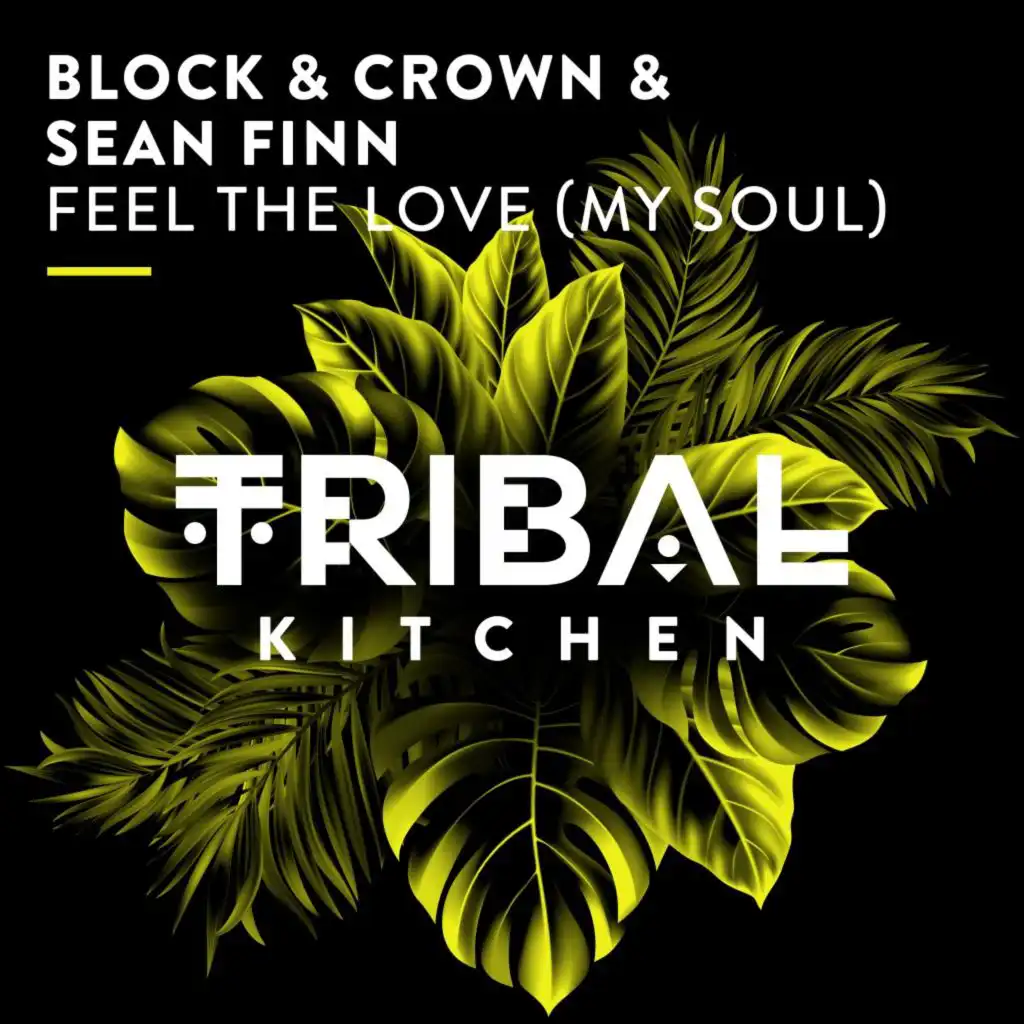 Feel the Love (My Soul) [Extended Mix]