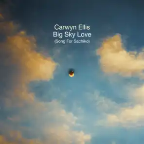 Carwyn Ellis