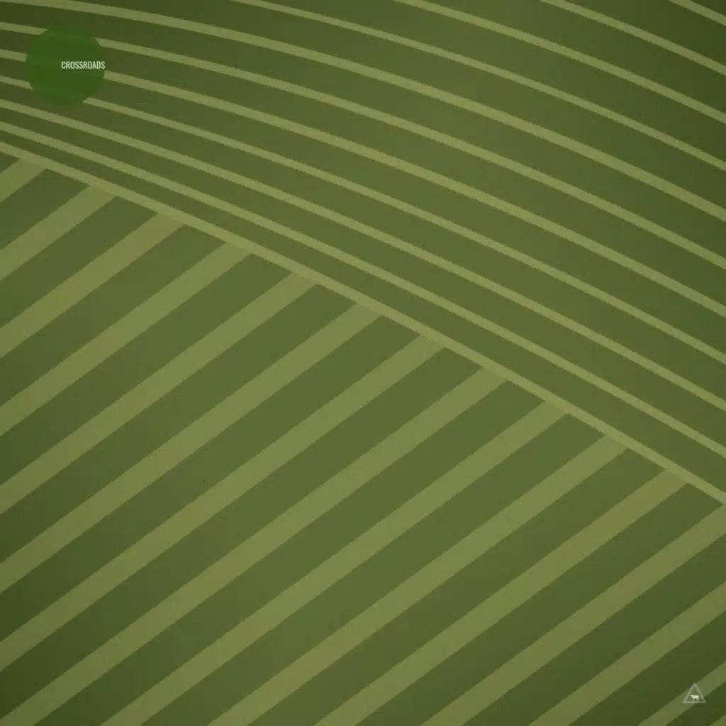 Reshuffled (Extended Mix)