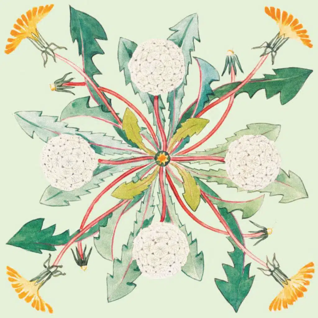 AMY GLENN on a Life in Thresholds /341