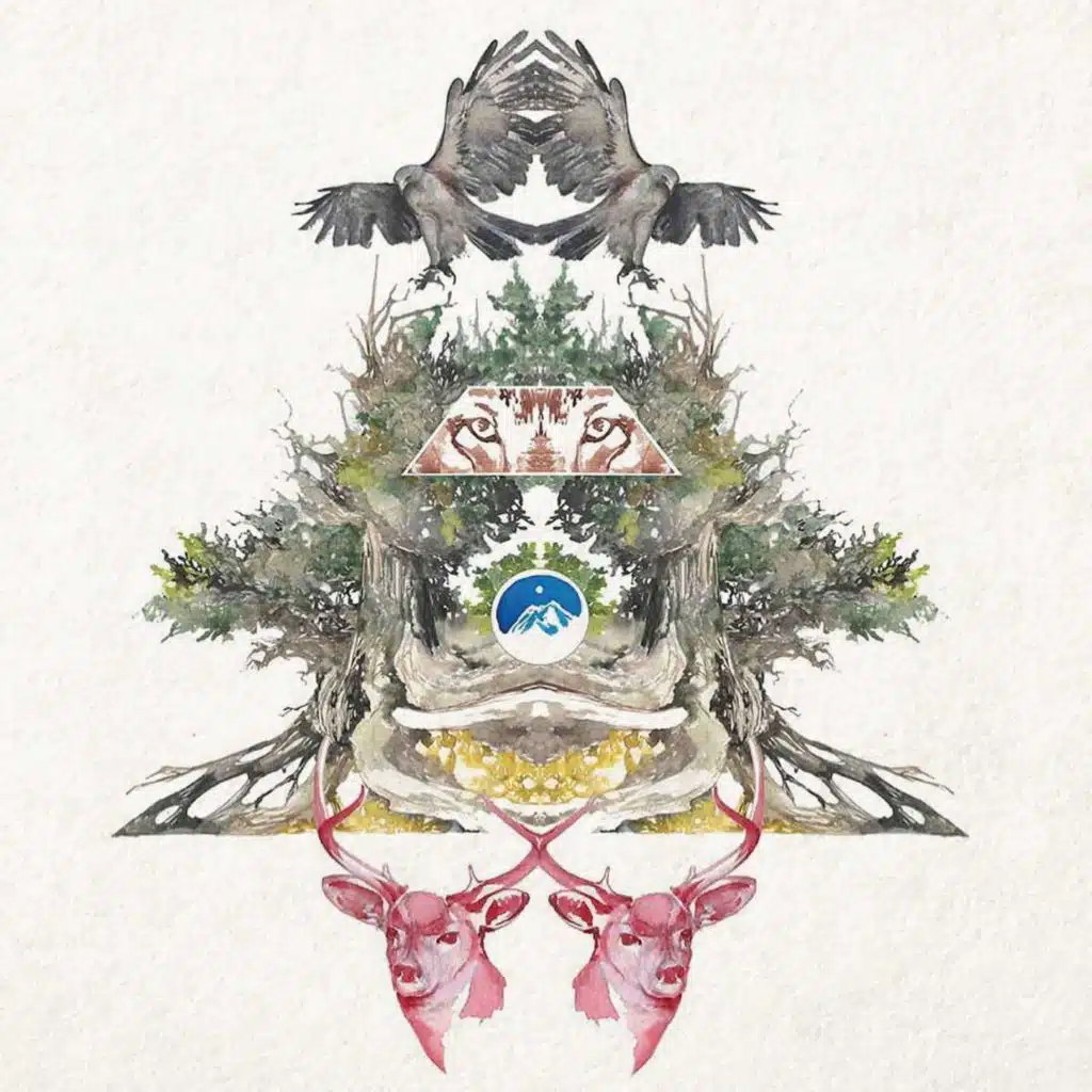 OBI KAUFMANN on the Ecotone of Art and Science /351