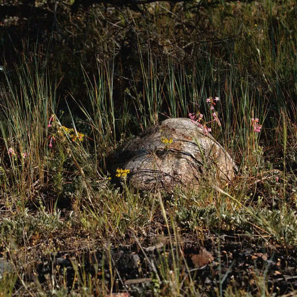 ERIK ASSADOURIAN on Dreams of the Long Future /366