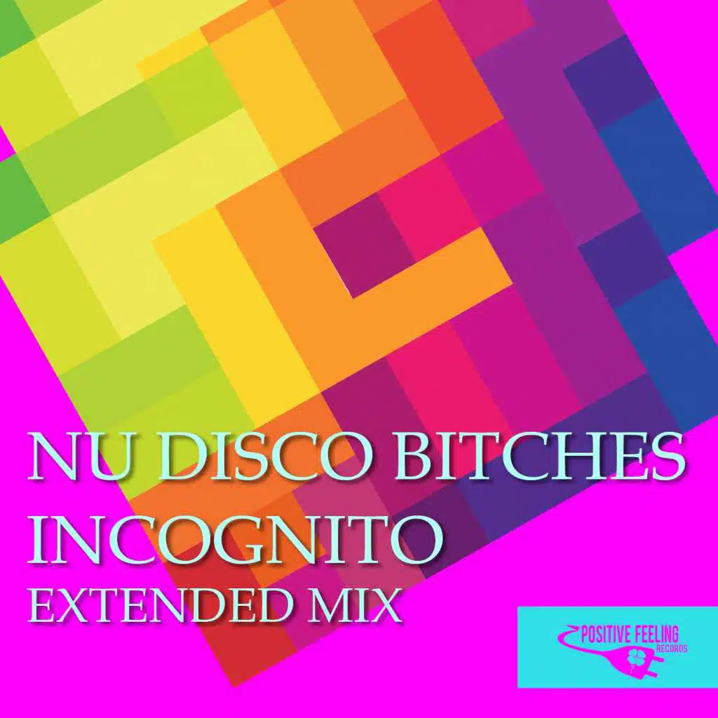 Incognito (Extended Mix)