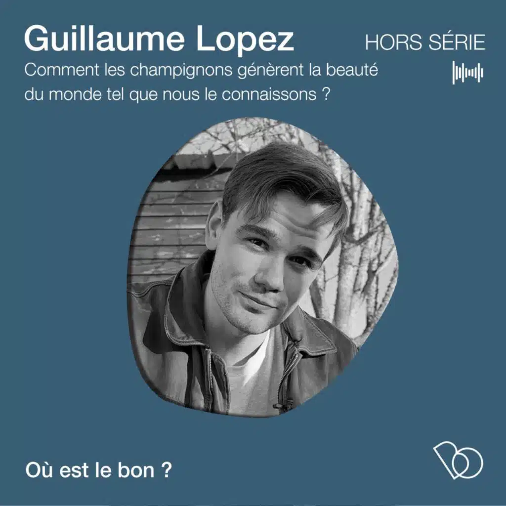 Comment les champignons génèrent la beauté du monde tel que nous le connaissons ? avec Guillaume Lopez  [ Hors Série ]