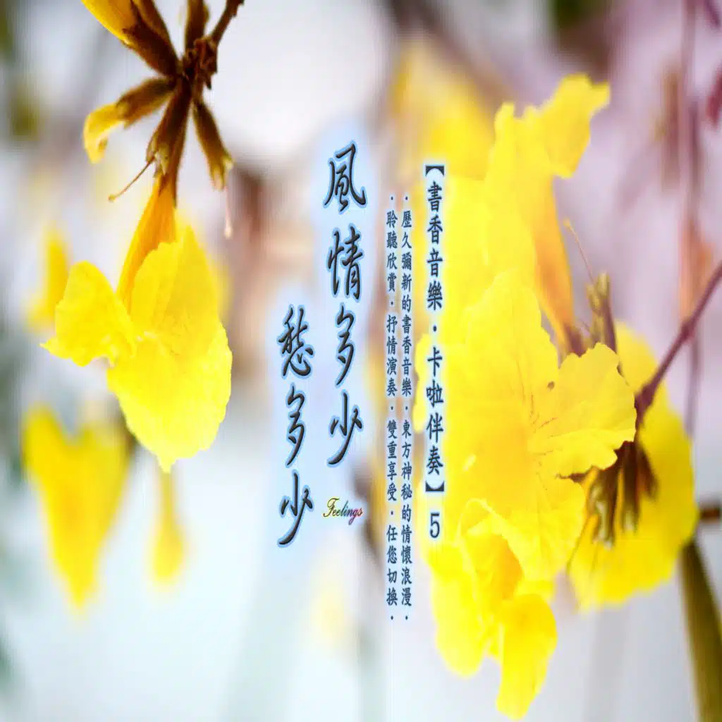 一片西飛一片東 (卡拉版)