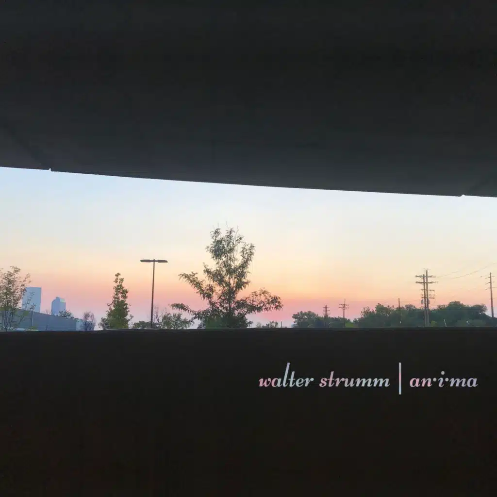 Walter Strumm