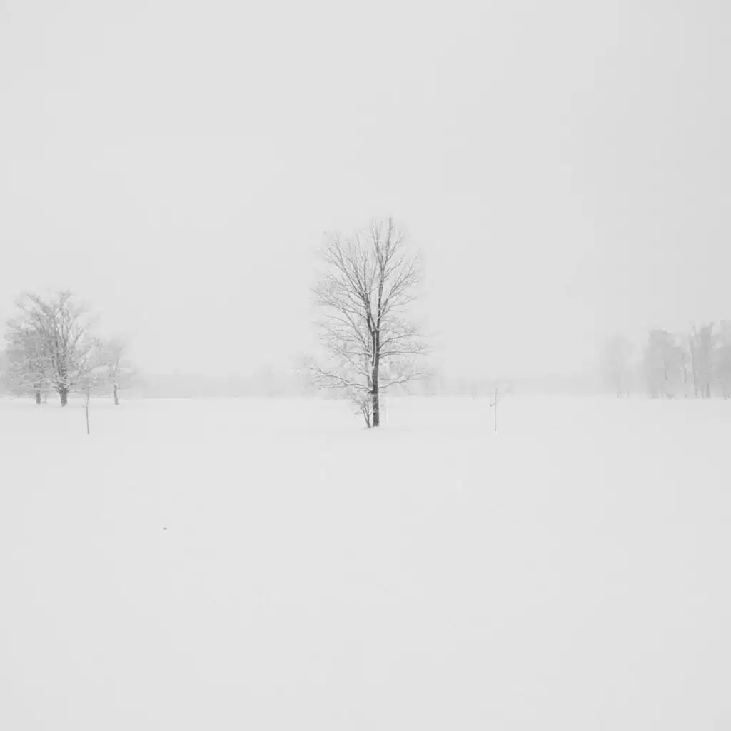 Mirrors & Bones (feat. Jaebriel)