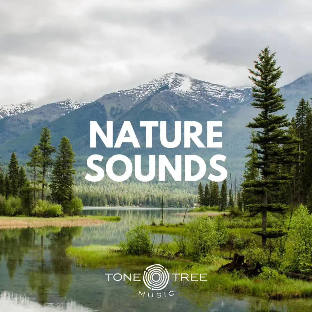 Tone Tree Music Presents: Nature Sounds