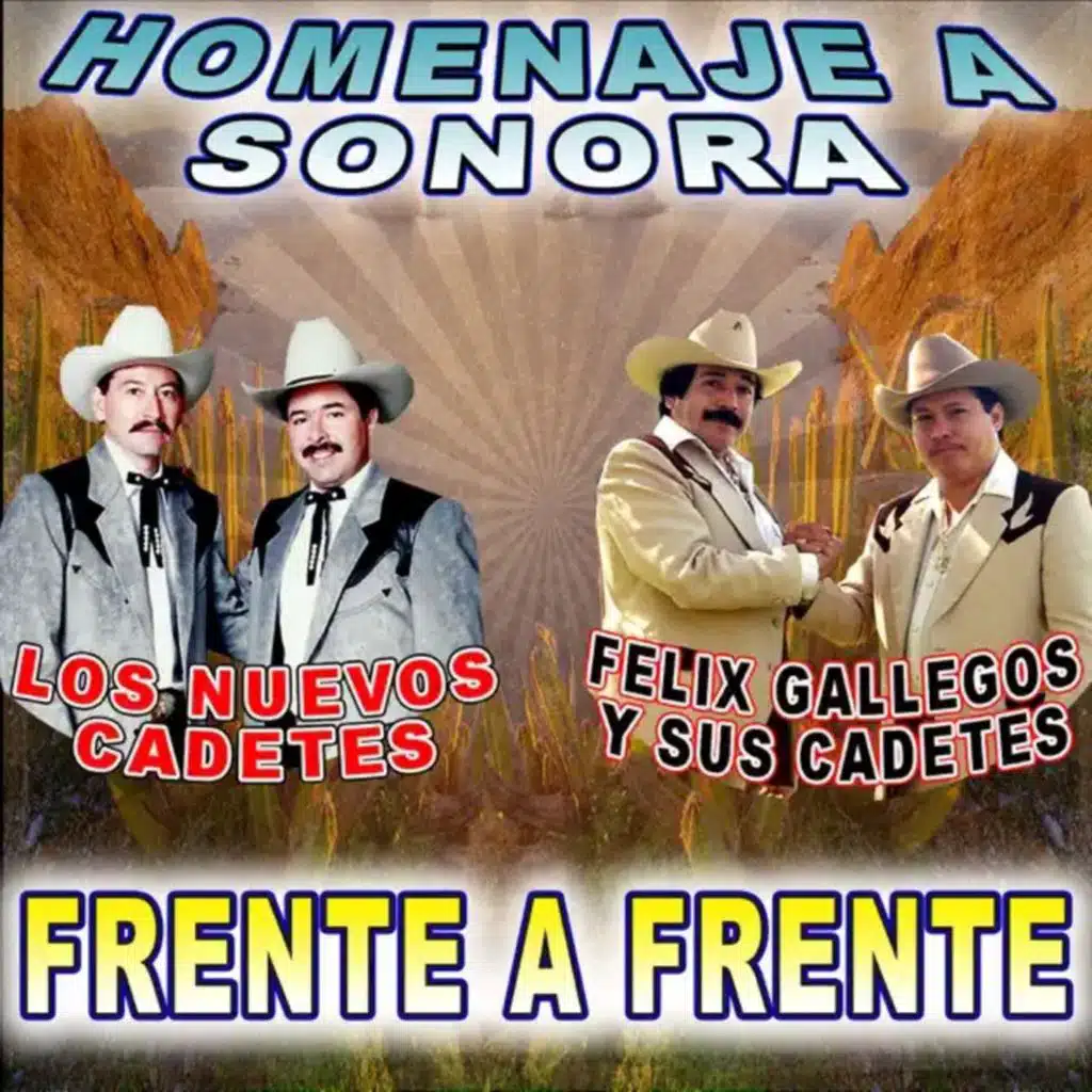 Vagando Voy