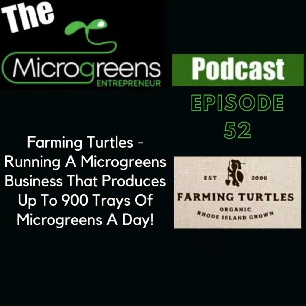 Ep 52: Farming Turtles - Running A Microgreens Business That Produces Up To 900 Trays Of Microgreens A Day!