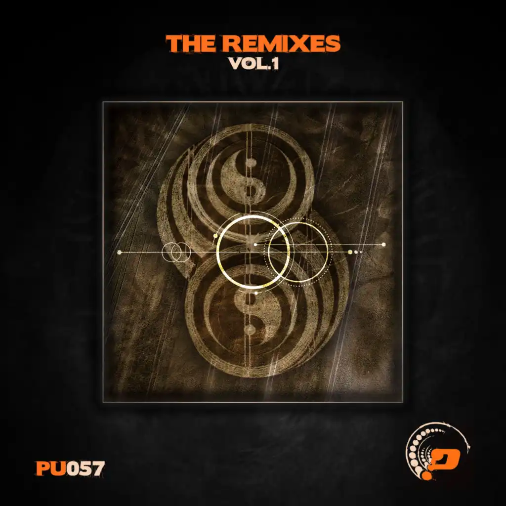 The Remixes Vol 1