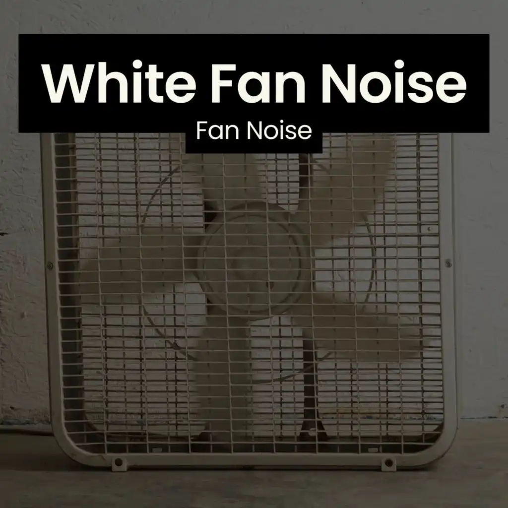 Fan Noise