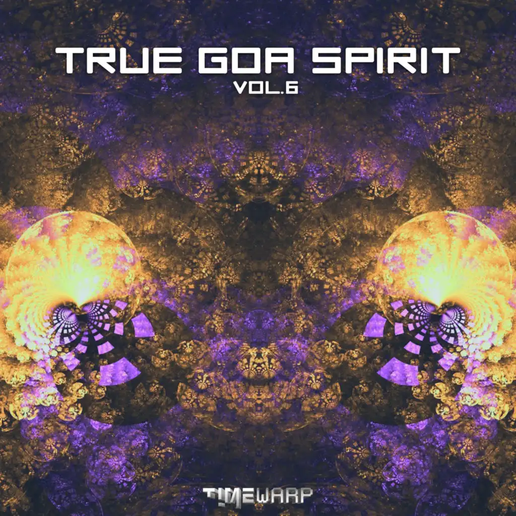 True Goa Spirit, Vol. 6 (Continuous DJ Mix)