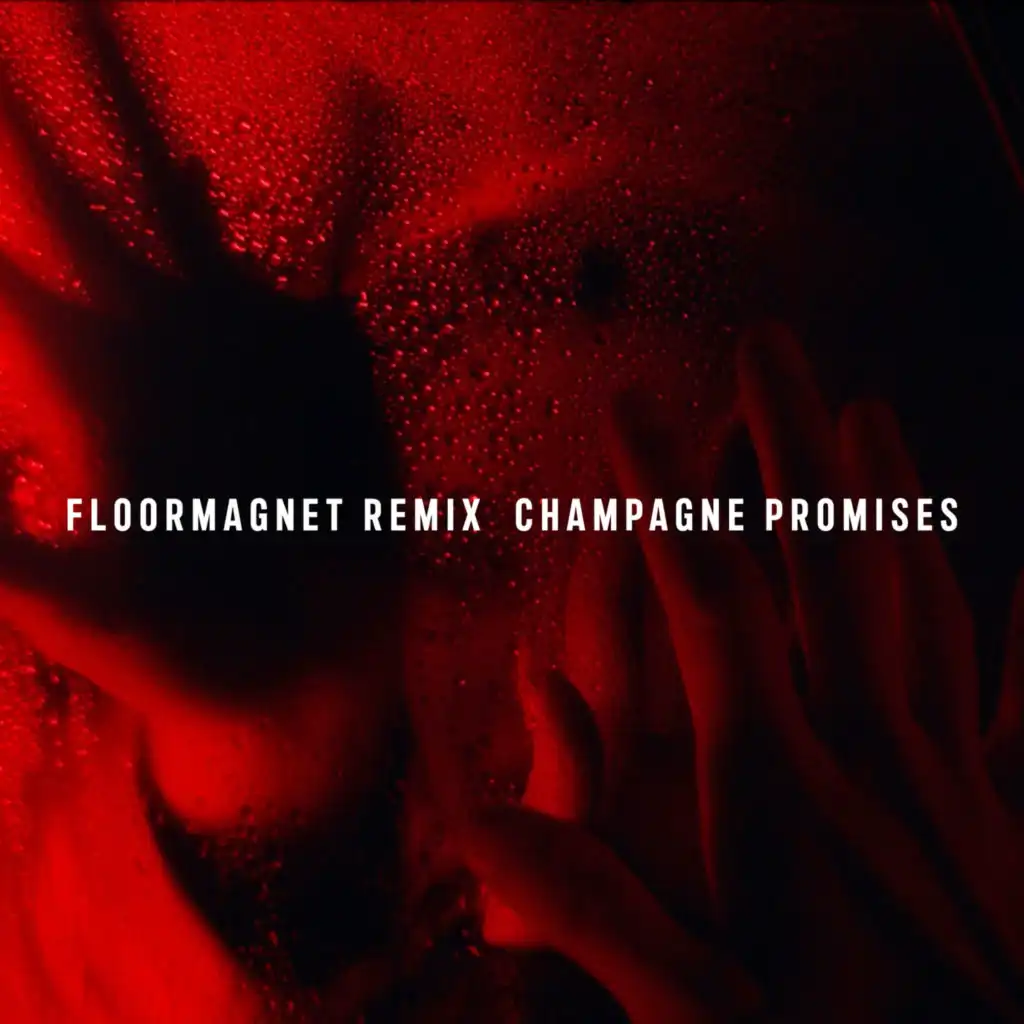 Champange Promises (Floormagnet Remix) [feat. Rebecca & Fiona]