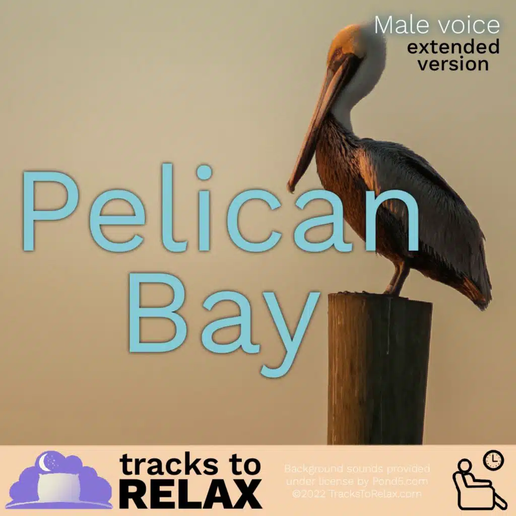 Pelican Bay - Relaxing Nap Meditation