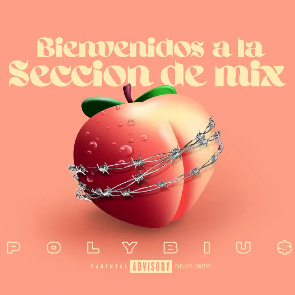 Bienvenidos a la Seccion de Mix