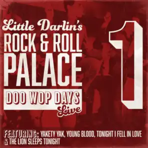 Rock N' Roll Palace - Doo Wop Days Vol. 1