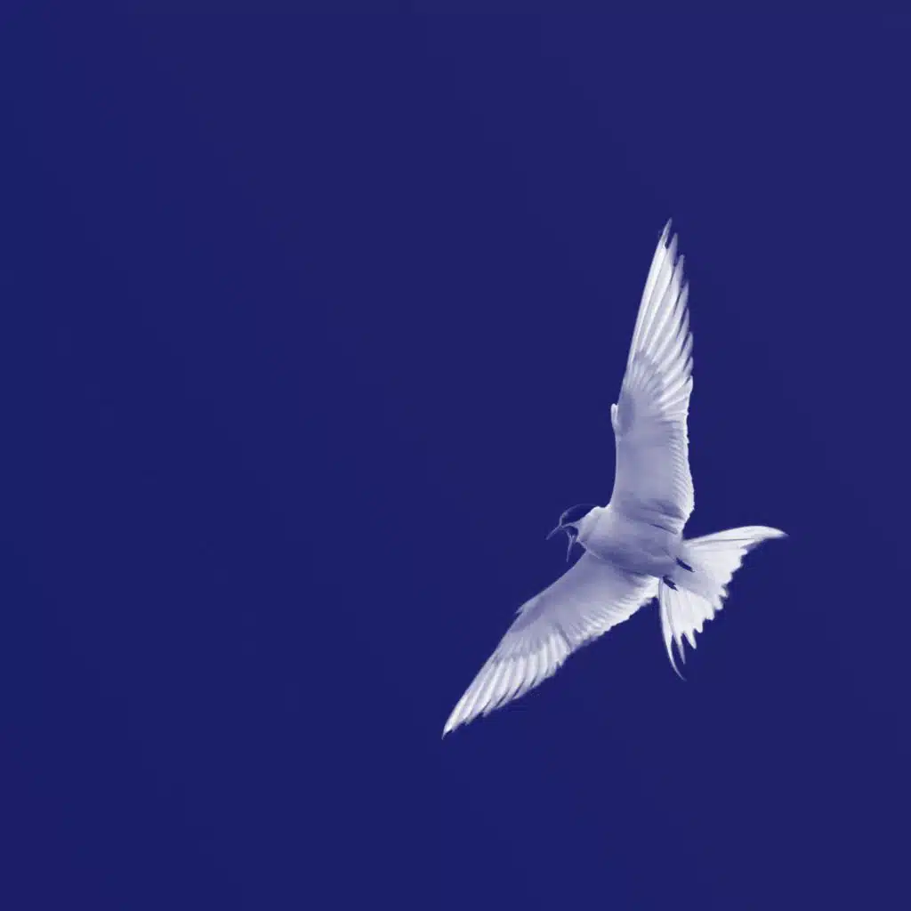 Karine Polwart, Pippa Murphy