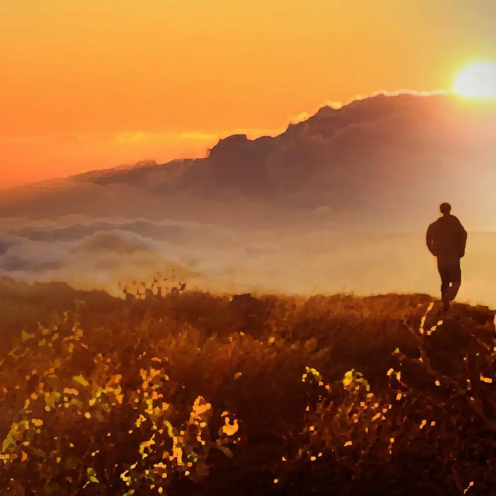 Wake Me Up (Piano Version)