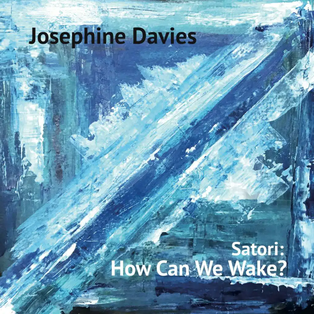 Satori: How Can We Wake? (feat. Dave Whitford & James Maddren)