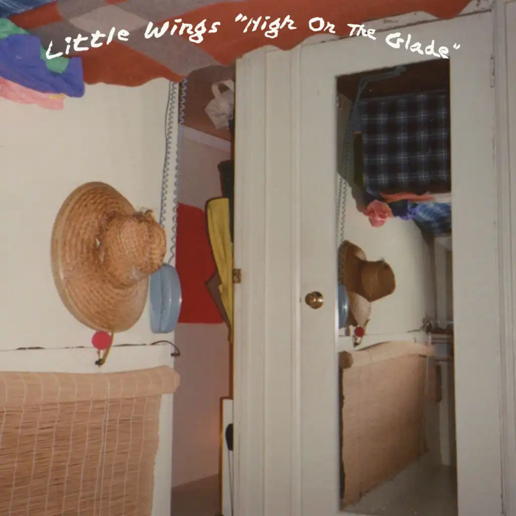 Little Wings