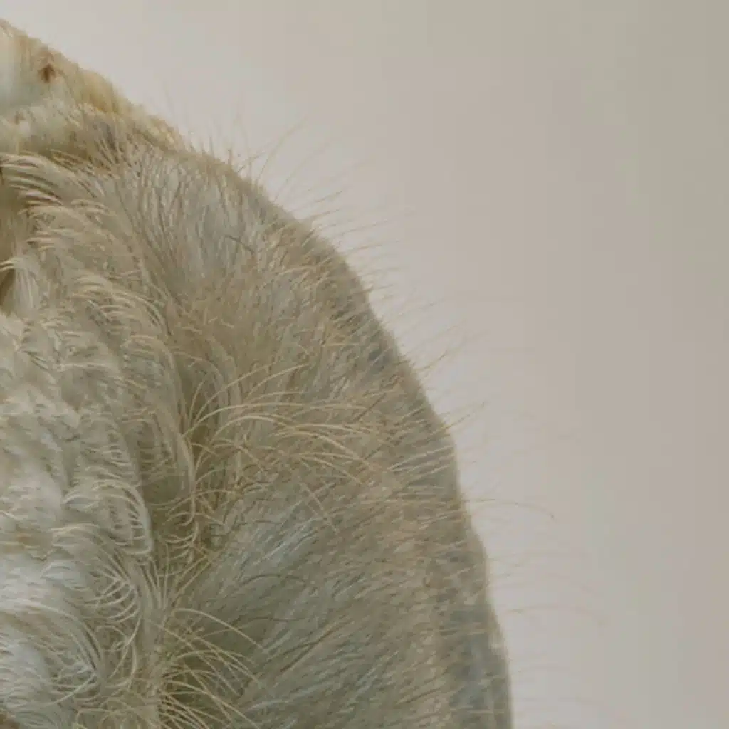 The Metal Pole Had Once Had Some Road Sign or Other at Its Top