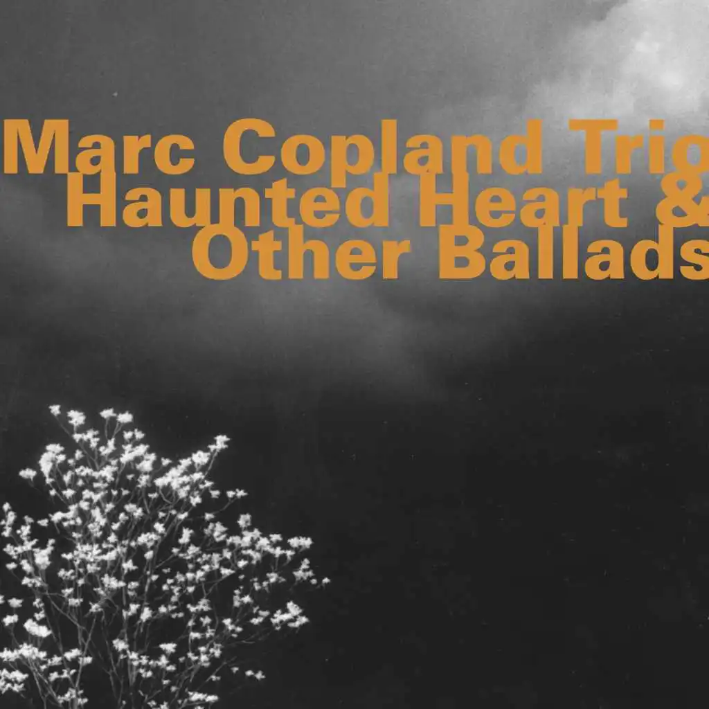 Haunted Heart & Other Ballads (feat. Marc Copland, Drew Gress & Jochen Rueckert)