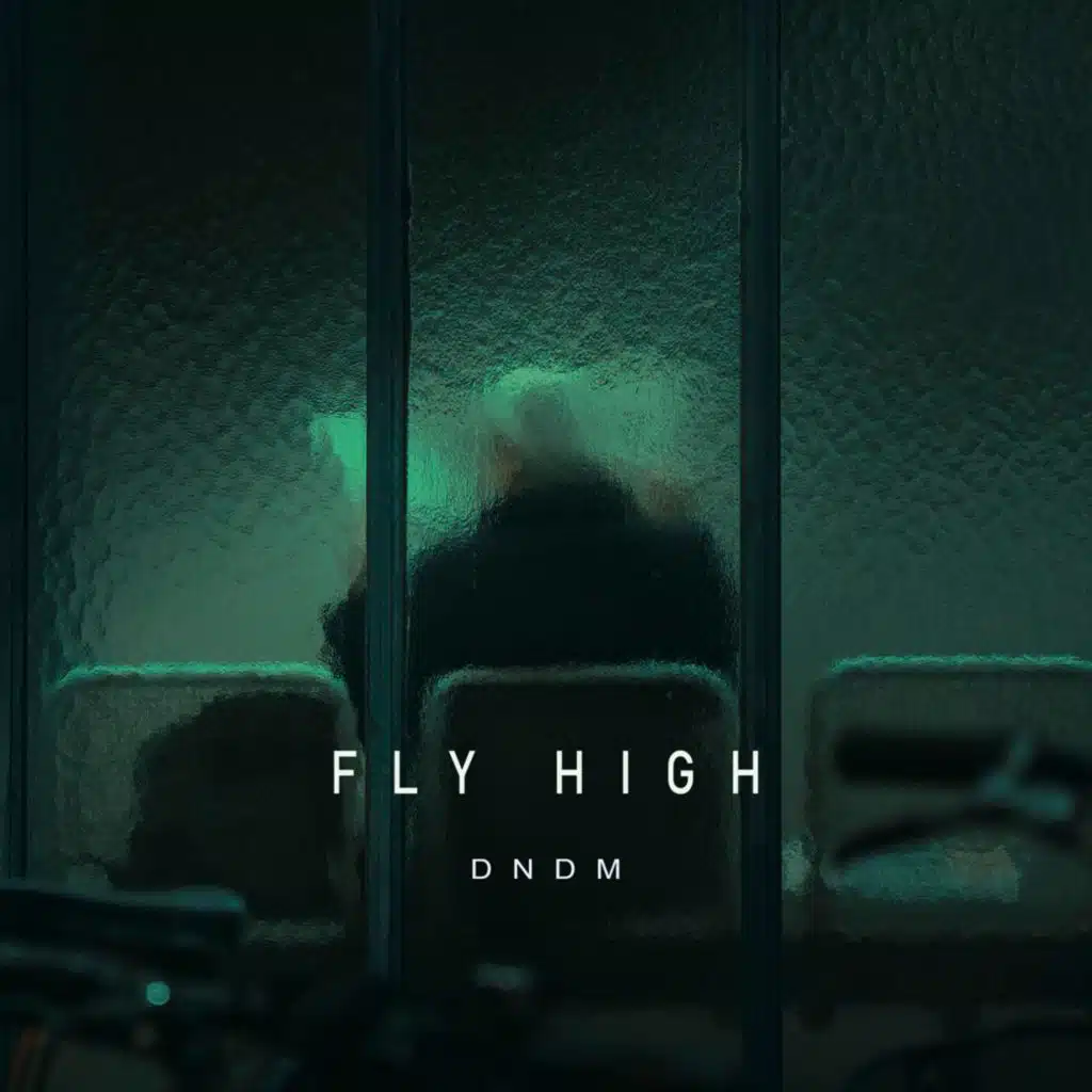 Fly High