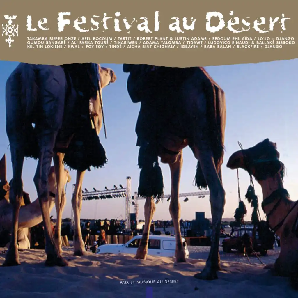 Le Festival au Désert (Paix et Musique au Désert) (Live)