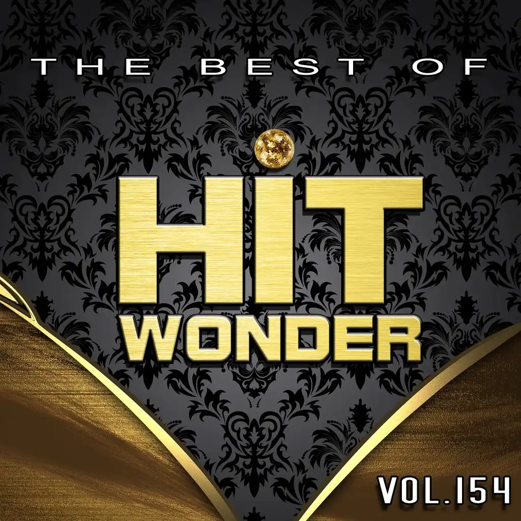 Hit Wonder: The Best of, Vol. 154