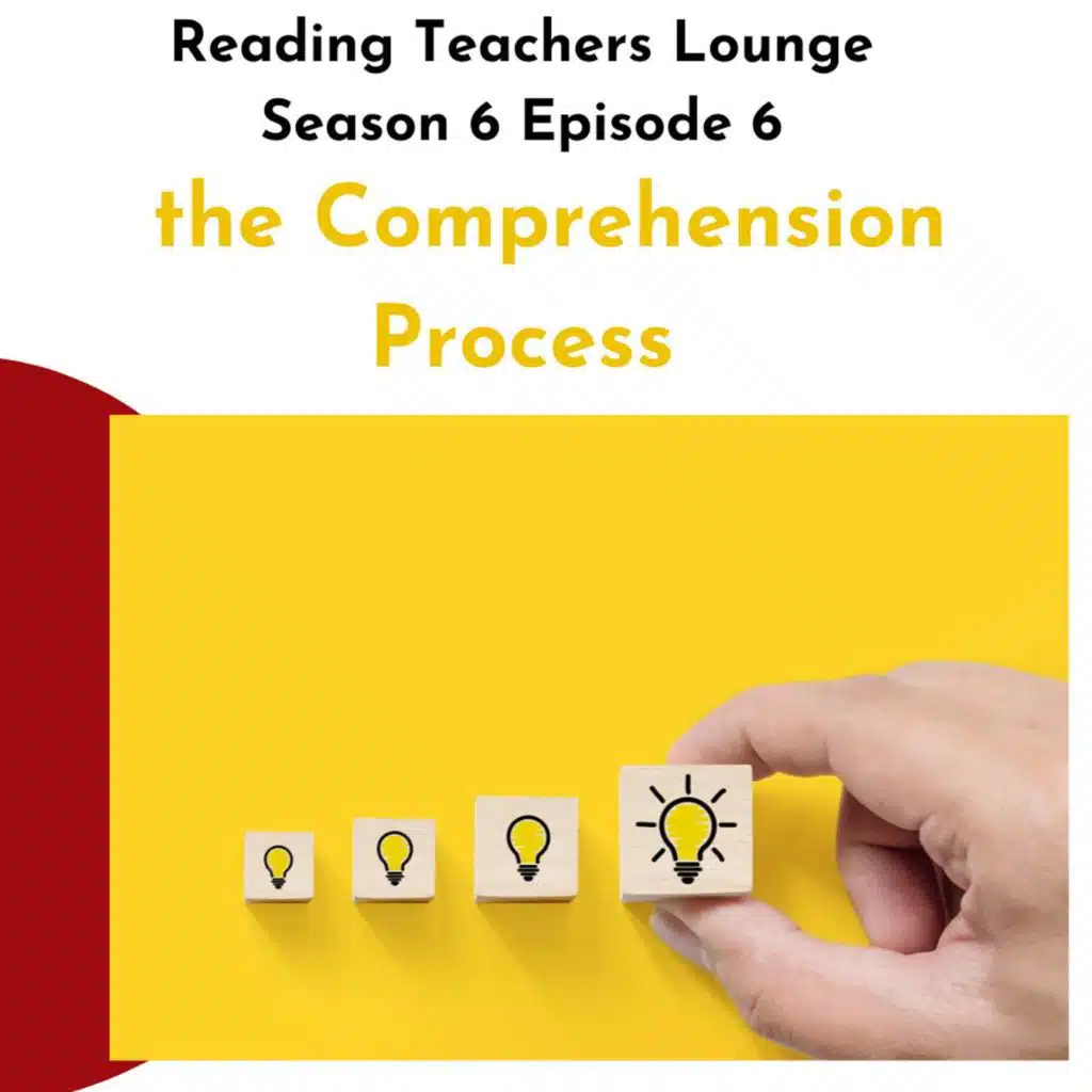 the Comprehension Process