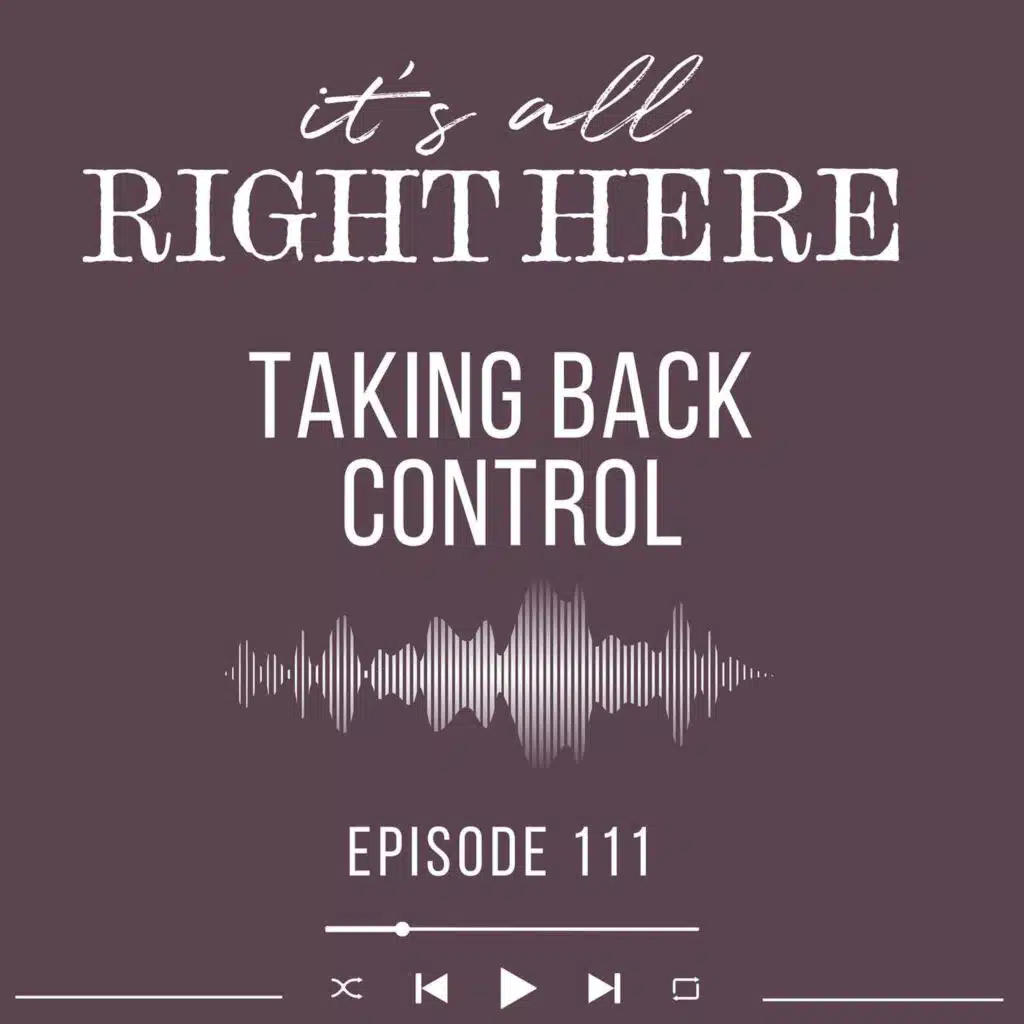 Taking Back Control | Britt B Steele