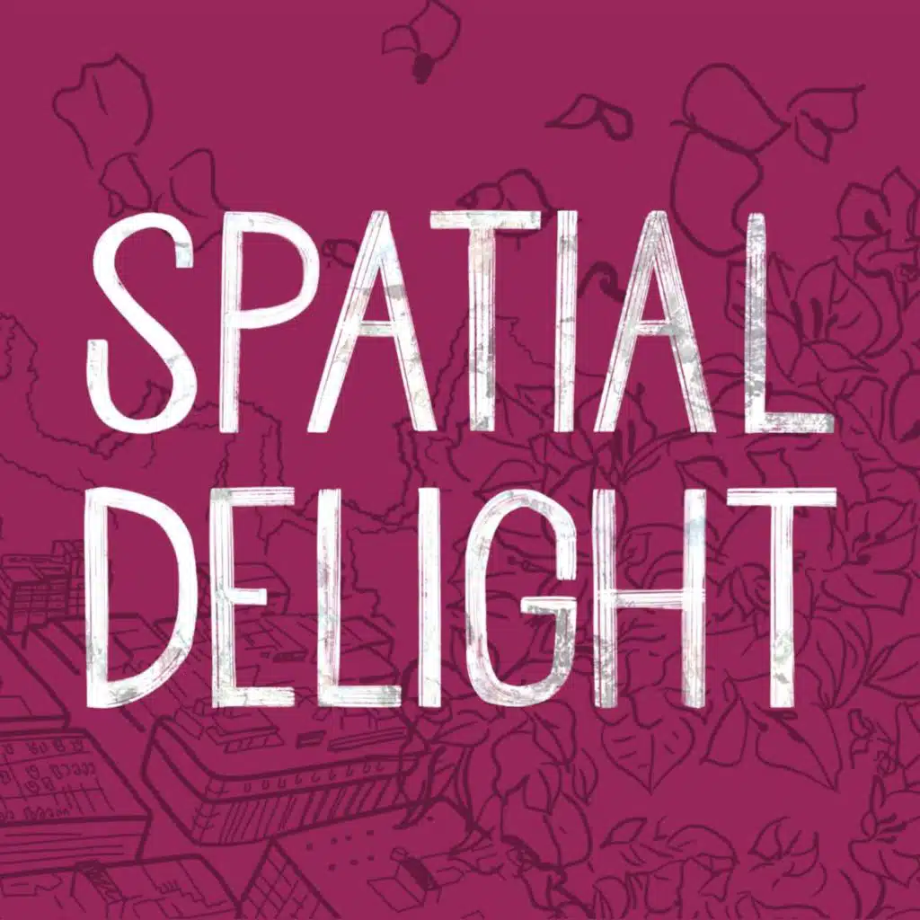 Introducing Spatial Delight