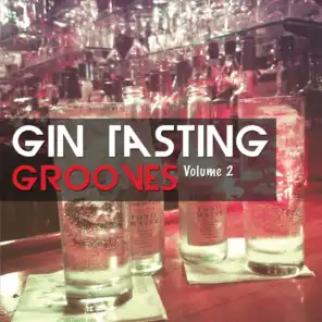 Gin Tasting Grooves, Vol. 2 (Best Bar and Cocktail Tunes)