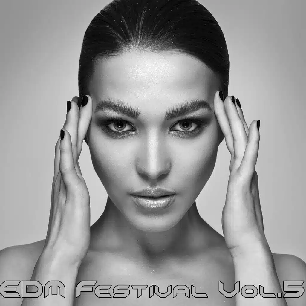 EDM Festival, Vol. 5