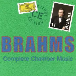 Brahms: Sonata For Violin & Piano No. 1 in G Major, Op. 78 - I. Vivace ma non troppo