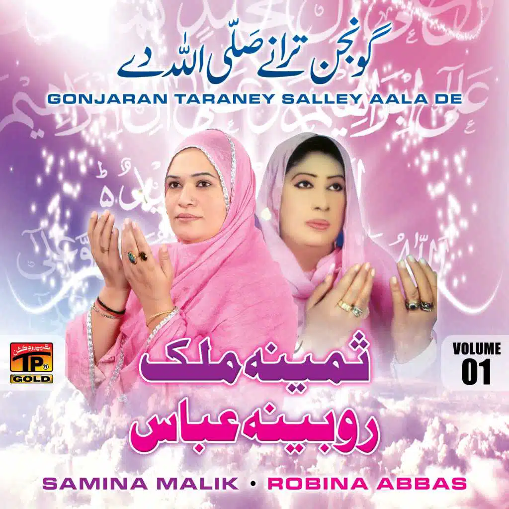 Gonjaran Taraney Salley Aala De, Vol. 1