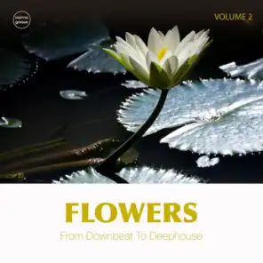 Flowers, Vol. 2 (From Downbeat to Deep House)