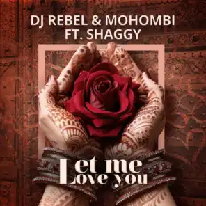 Let Me Love You (feat. Shaggy)