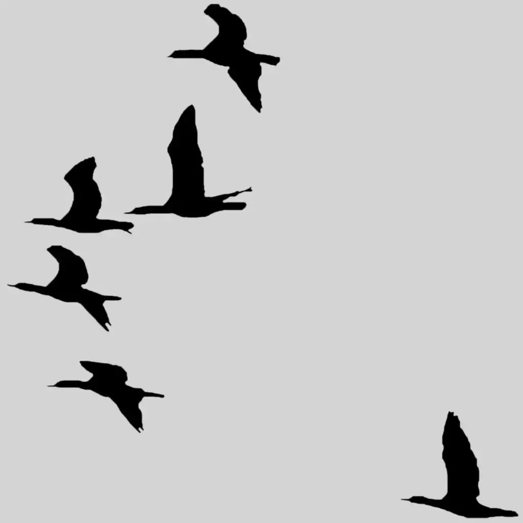 Canadian Geese (Radio Edit)