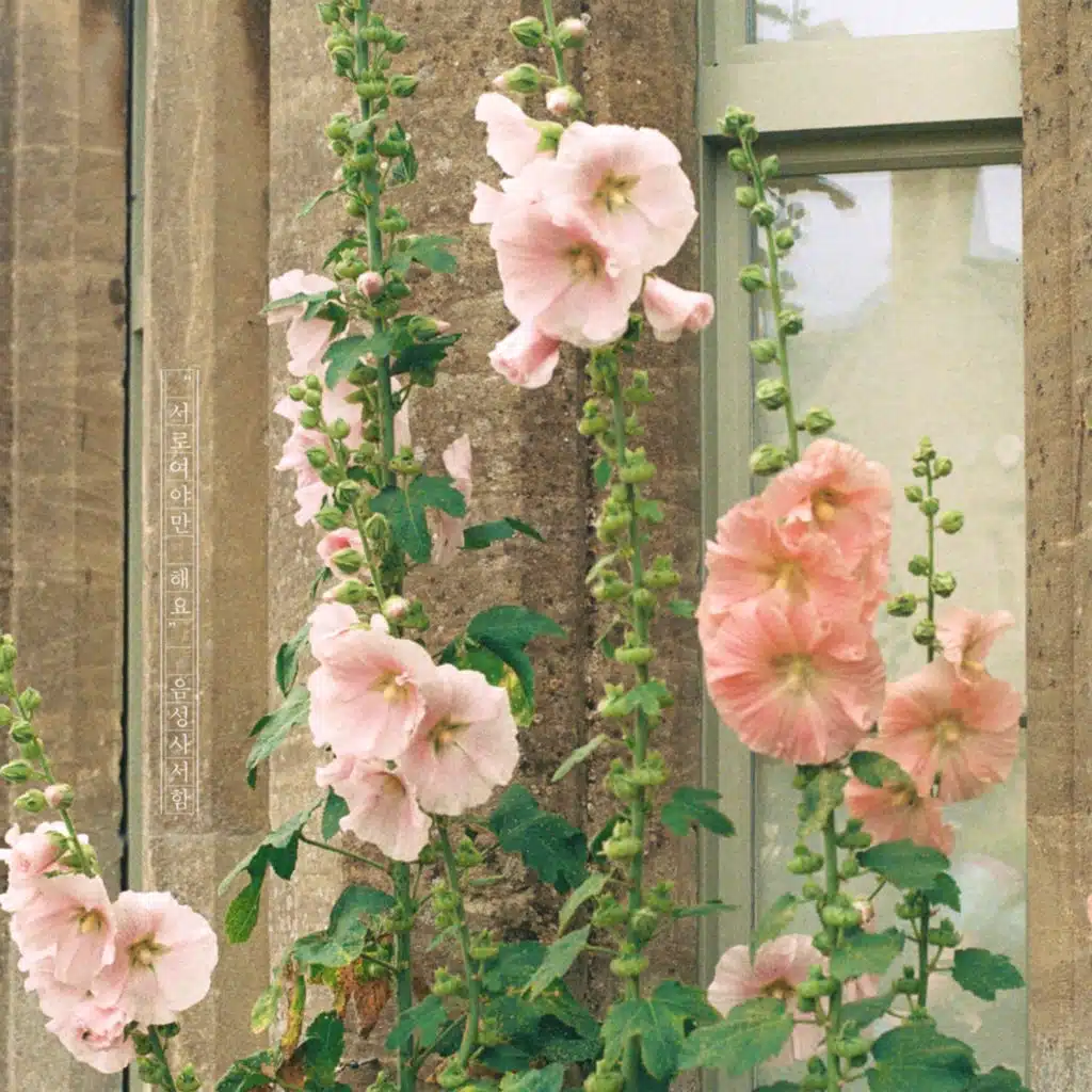 We Only Have Each Other