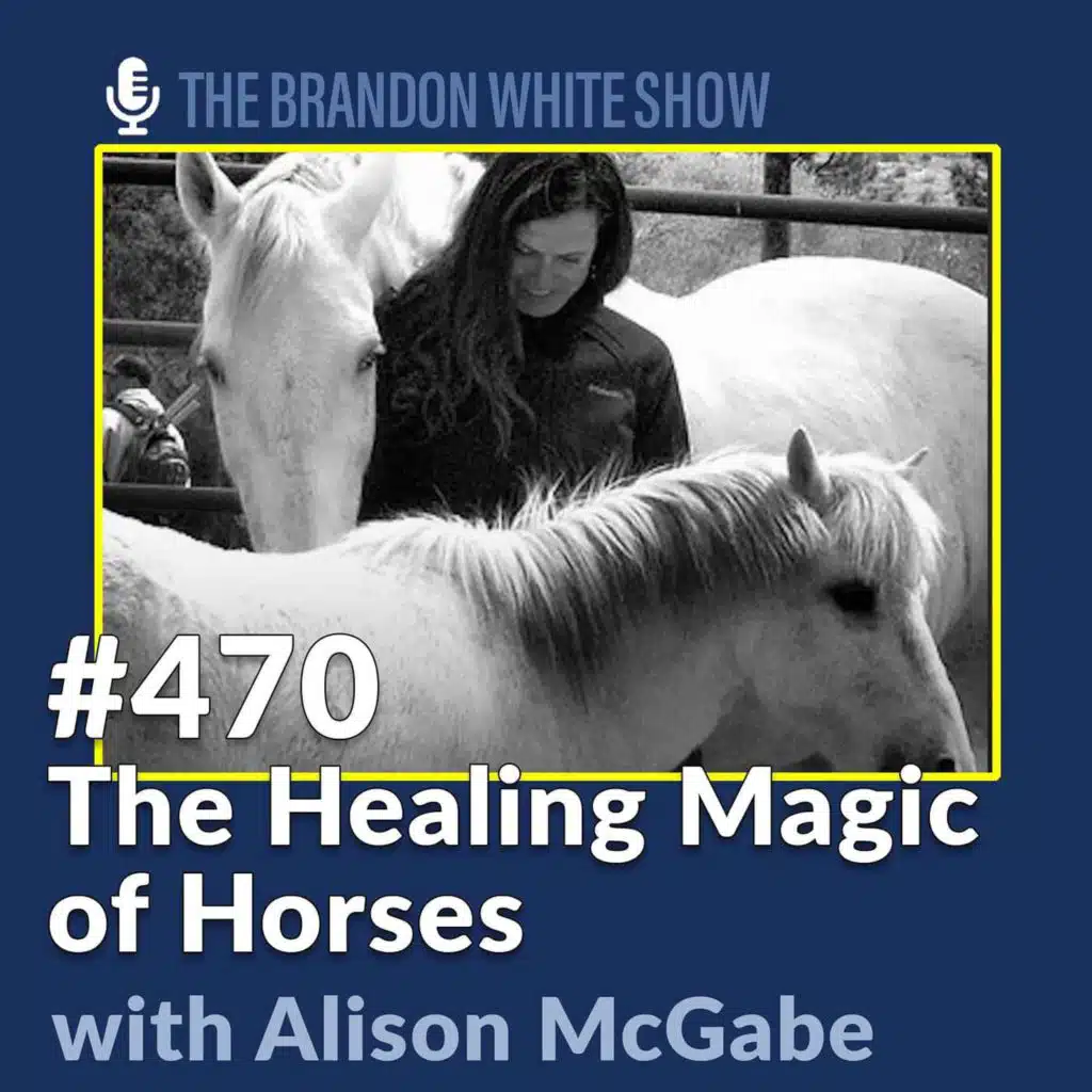 The Healing Magic of Horses with Equine Therapist Alison McGabe