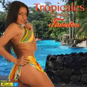 Tropicales Clásicos Fuentes 12