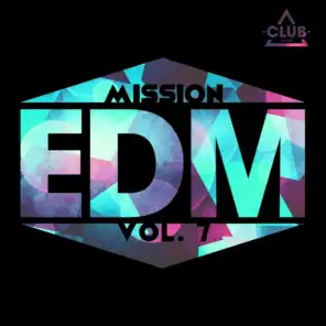 Mission EDM, Vol. 7
