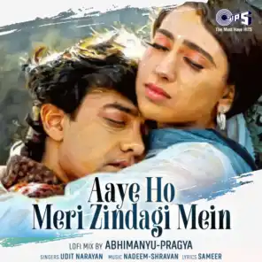 Aaye Ho Meri Zindagi Mein (Male) [Lofi Mix]