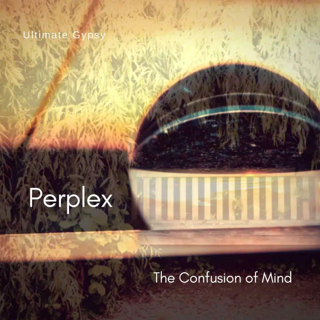 Perplex - The Confusion Of Mind