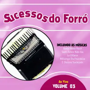 Sucessos do Forró, Vol. 3 (Ao Vivo)