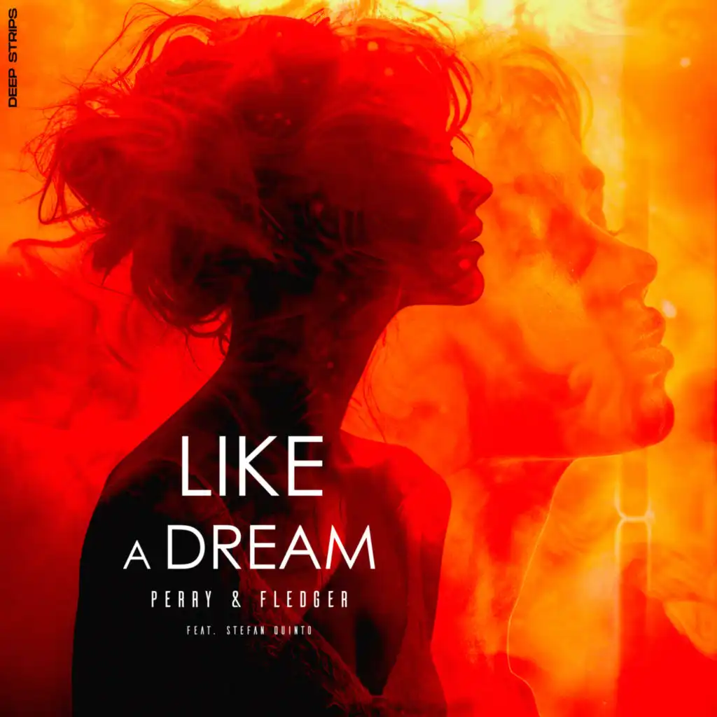 Like a Dream (feat. Stefan Quinto)