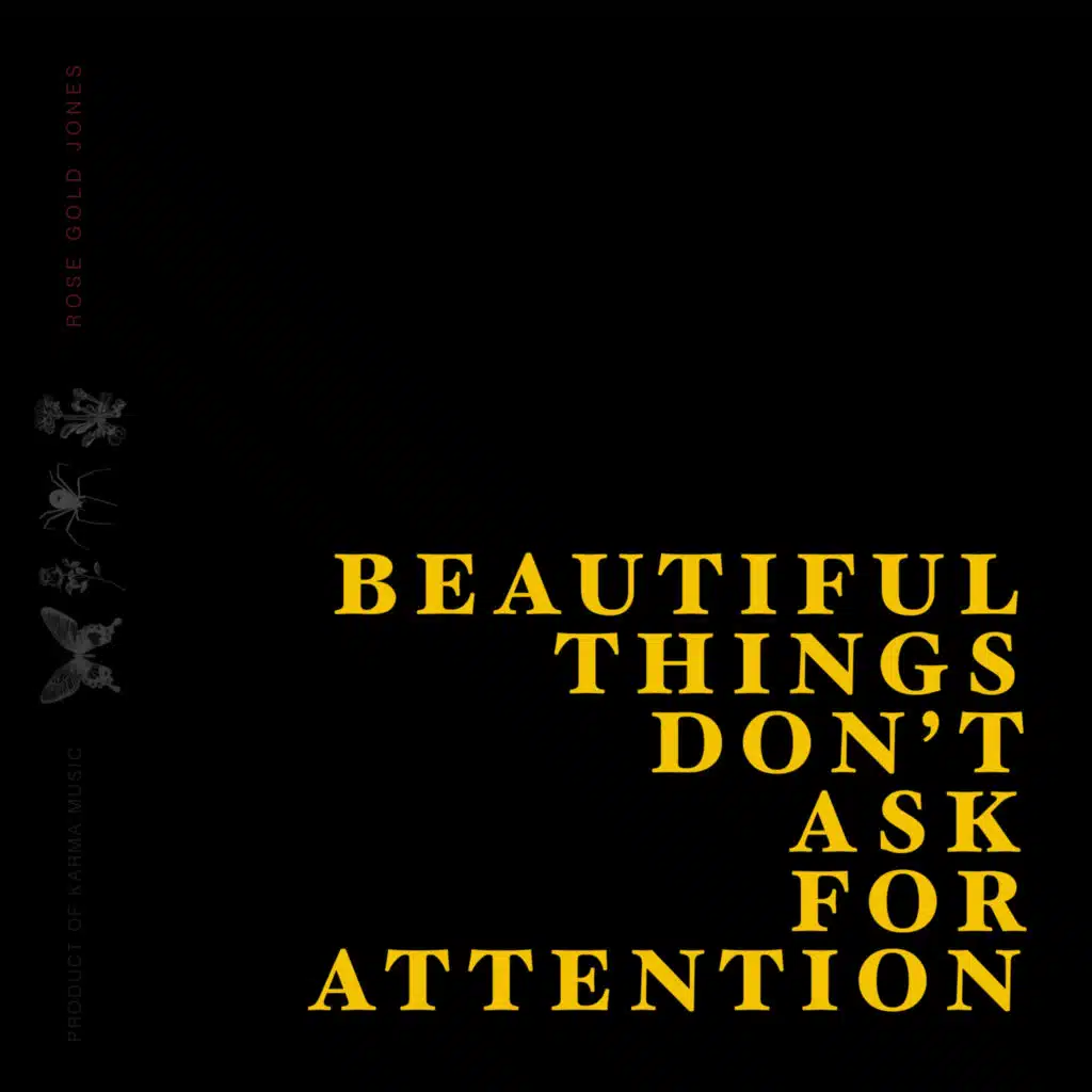 Beautiful Things Don't Ask For Attention