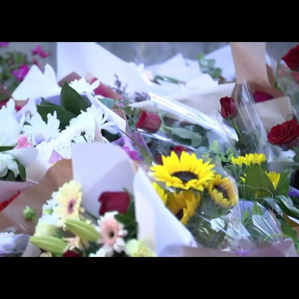 SLP 371: Self Love Quicky - Reflecting on the Bondi Tragedy